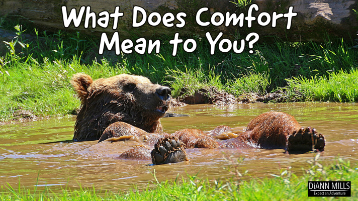 What Does Comfort Mean to You? - DiAnn Mills