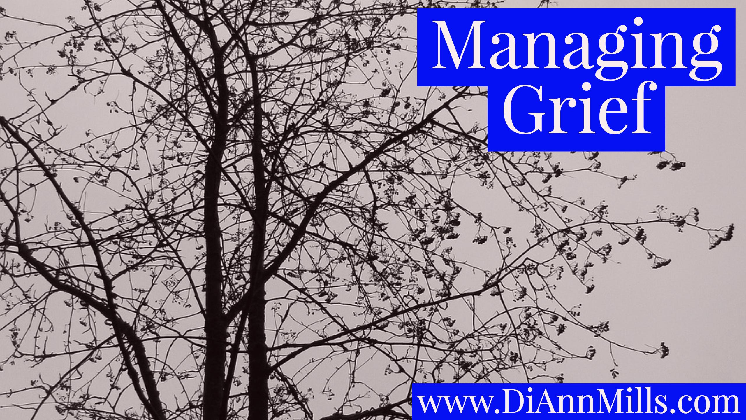 Featured image for “Managing Grief”