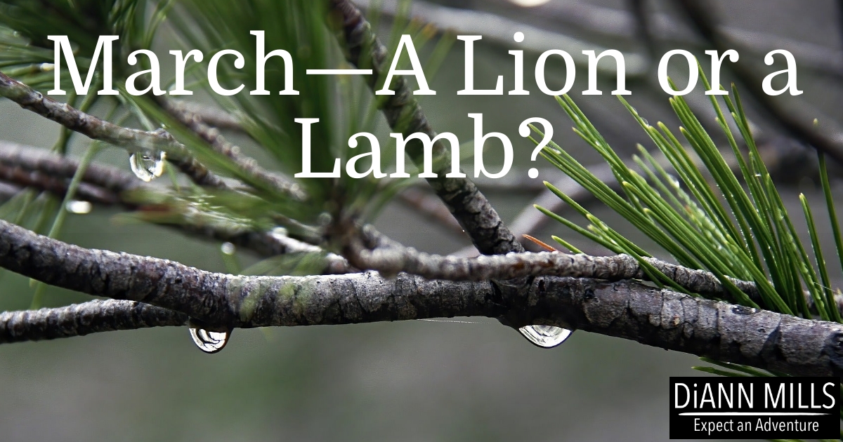 Featured image for “March—A Lion or a Lamb?”