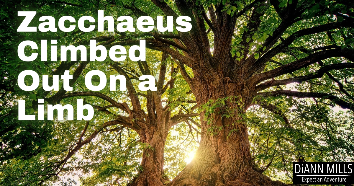 Featured image for “Zacchaeus Climbed Out On a Limb”
