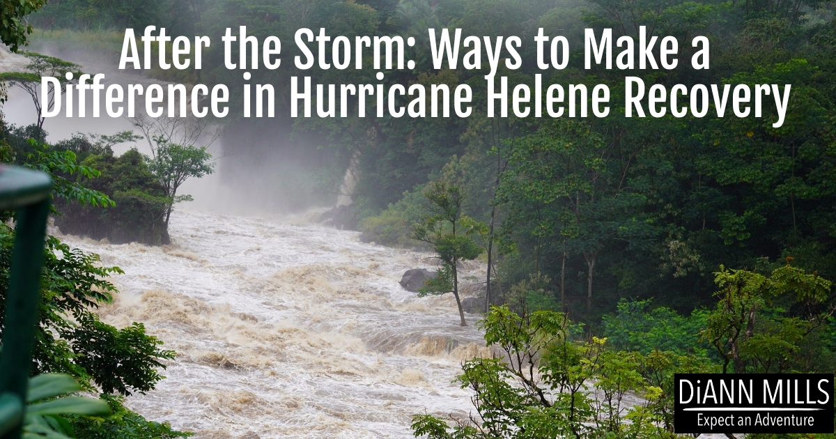 Featured image for “After the Storm: Ways to Make a Difference in Hurricane Helene Recovery”