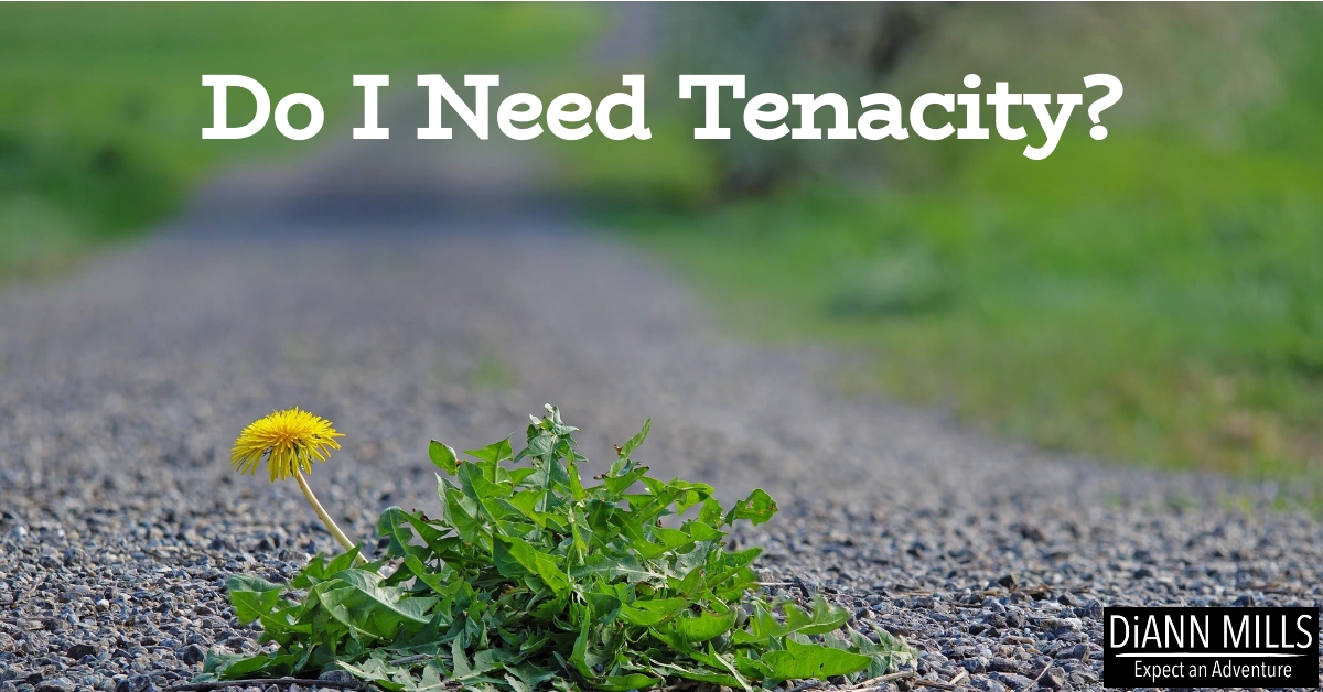 Featured image for “Do I Need Tenacity?”