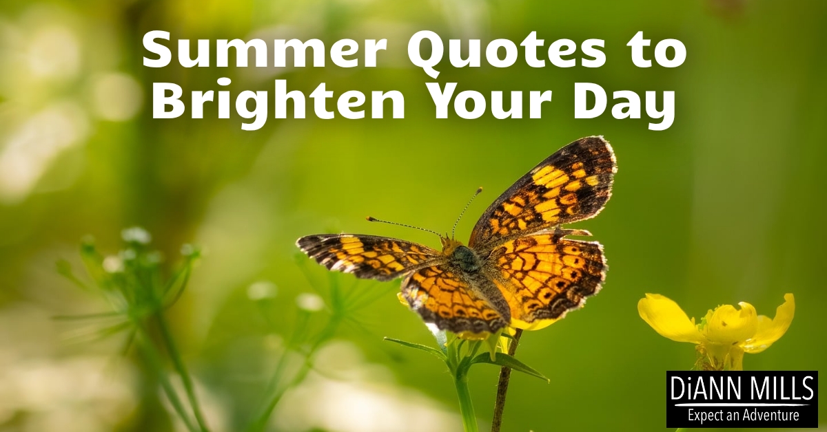 Featured image for “Summer Quotes to Brighten Your Day”