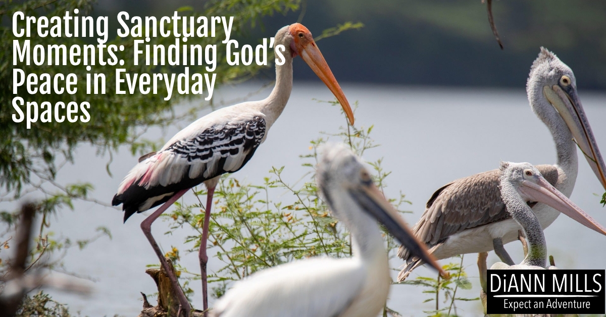 Featured image for “Creating Sanctuary Moments: Finding God’s Peace in Everyday Spaces”