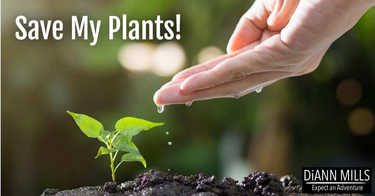 Featured image for “Save My Plants!”