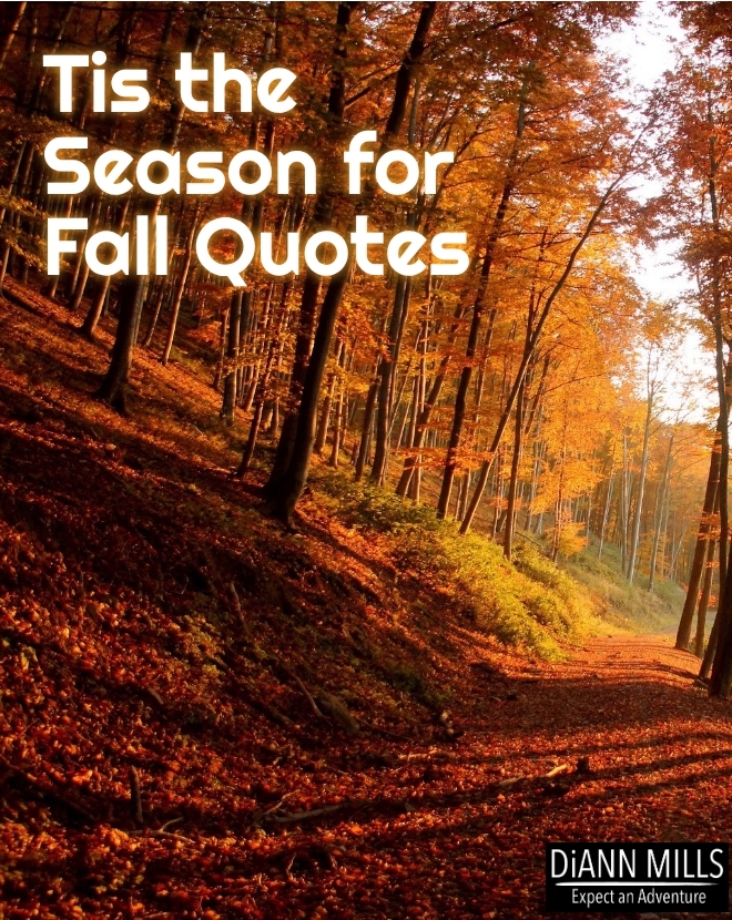 Featured image for “Tis the Season for  Fall Quotes”